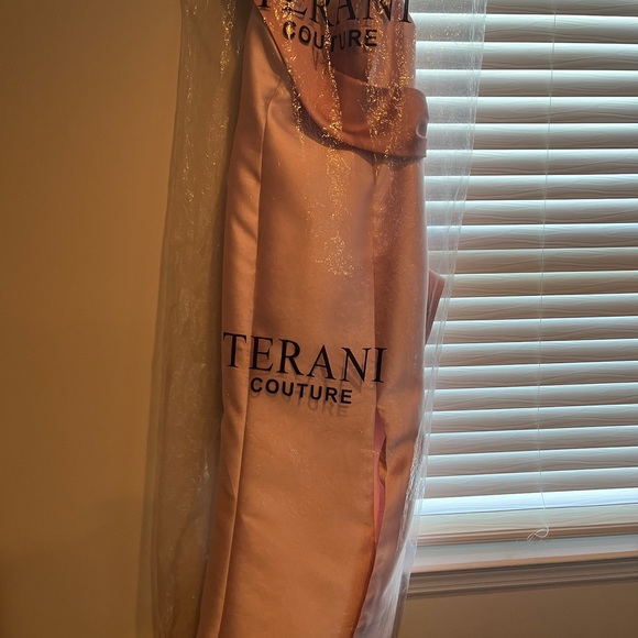 Terani couture dress ! - Picture 3 of 9